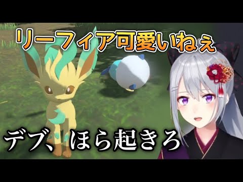 リーフィアとミジュマルとの対応の差が違い過ぎる樋口楓【樋口楓/にじさんじ切り抜き】