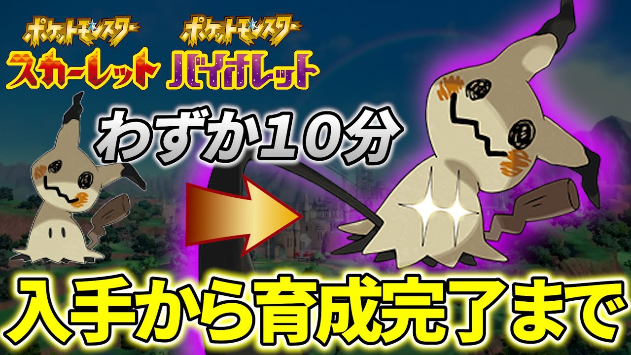 【ミミッキュ 育成論 ポケモンsv】初心者でもこの動画を見ればランク対戦で使える育成済みミミッキュができます！(ポケモンスカーレットバイオレット)