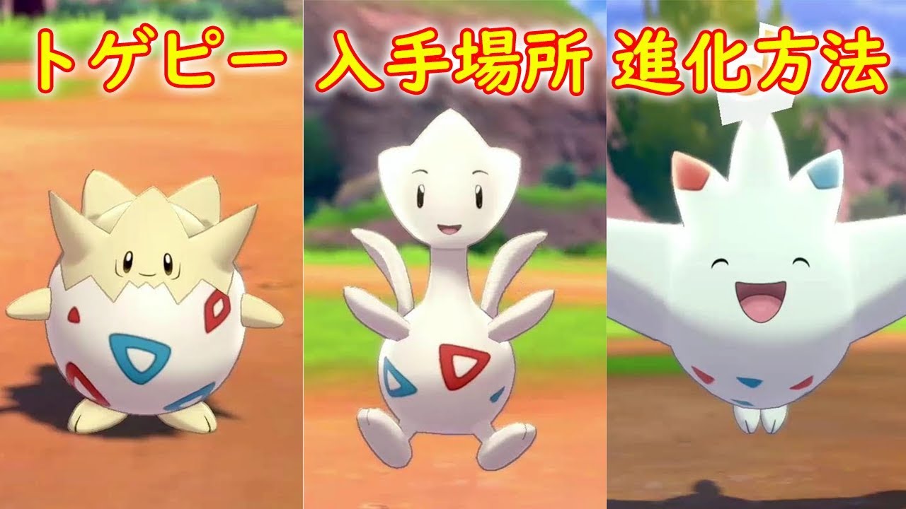 【トゲピー】入手場所 進化方法 攻略【トゲチック トゲキッス ポケモン ソード シールド ポケモン剣盾】