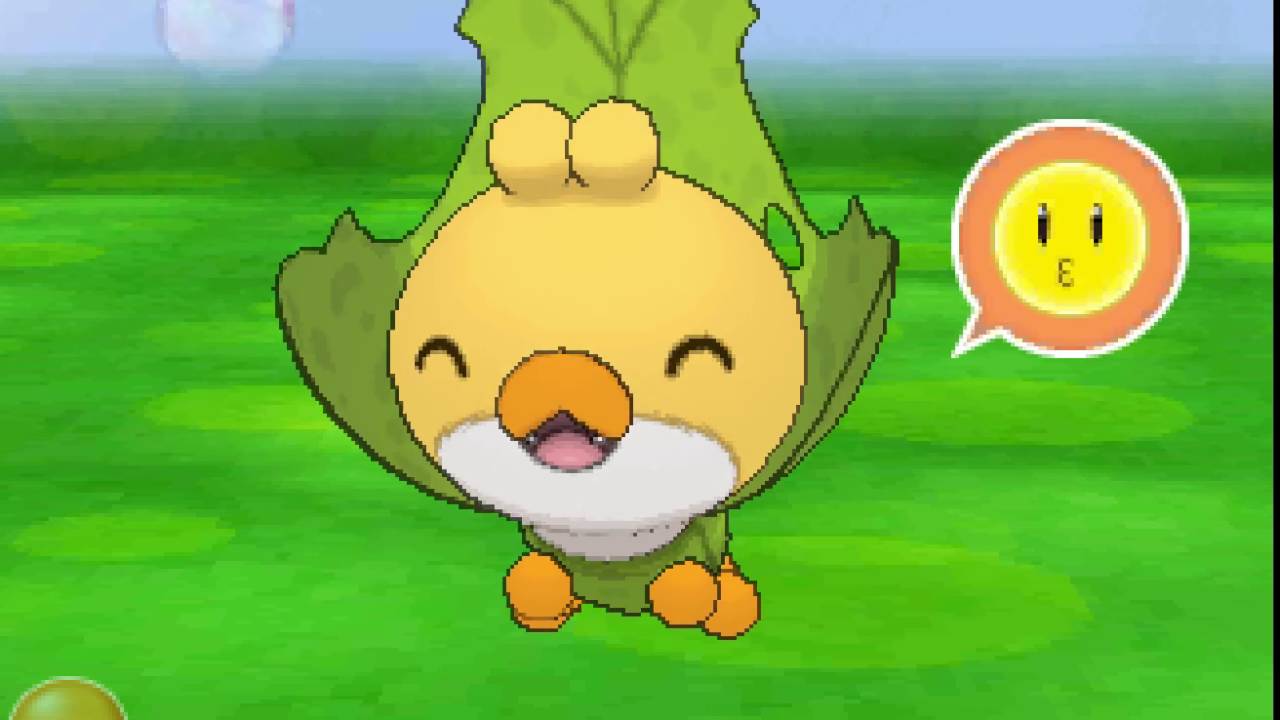 ポケパルレ　クルミルと戯れるだけの動画