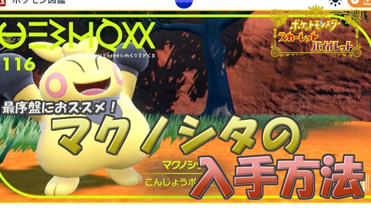 【ポケモンSV】マクノシタ（ハリテヤマ）の入手方法　おススメの旅パ