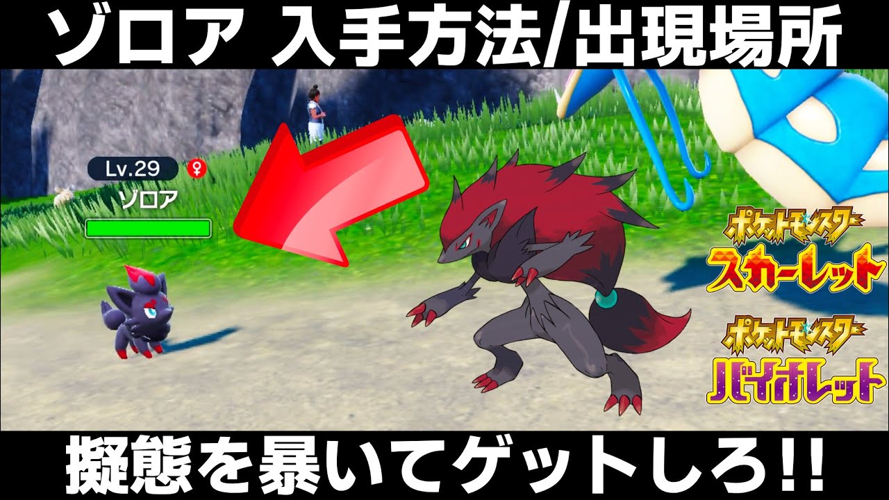【ポケモンSV】ゾロアの出現場所/入手方法！擬態を暴いて捕まえよう！今作も可愛い！【スカーレット/バイオレット】