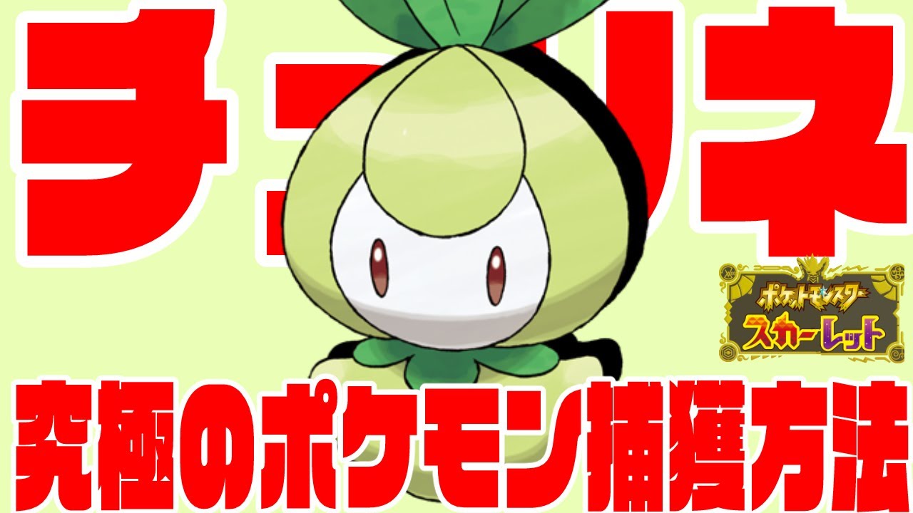 誰でも簡単にをチュリネを捕まえる方法　【ポケモンSV】