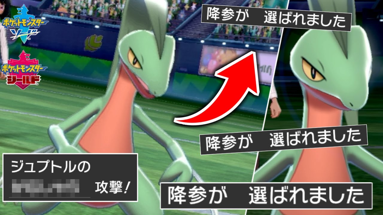 強すぎて5分後に相手が降参するジュプトルを考えました...【ポケモン剣盾】