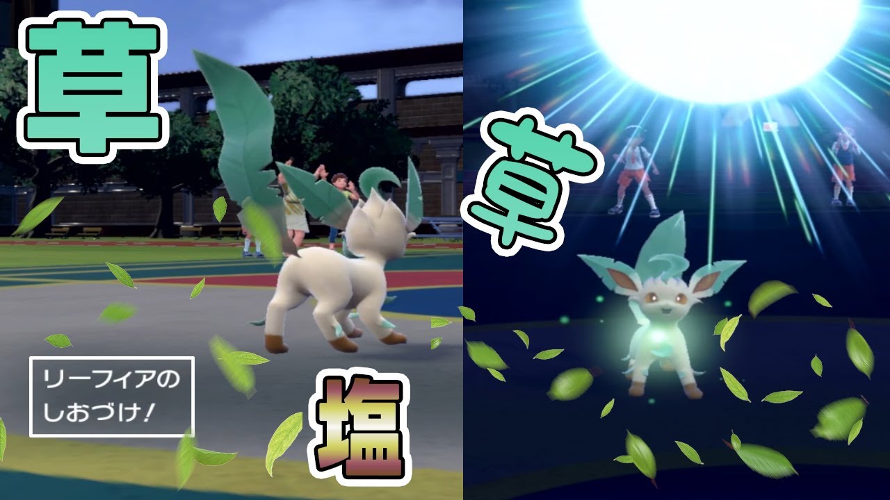 リーフィアのしおづけ！？衝撃の活躍でSV初の偉業達成へ【ポケモンSV】
