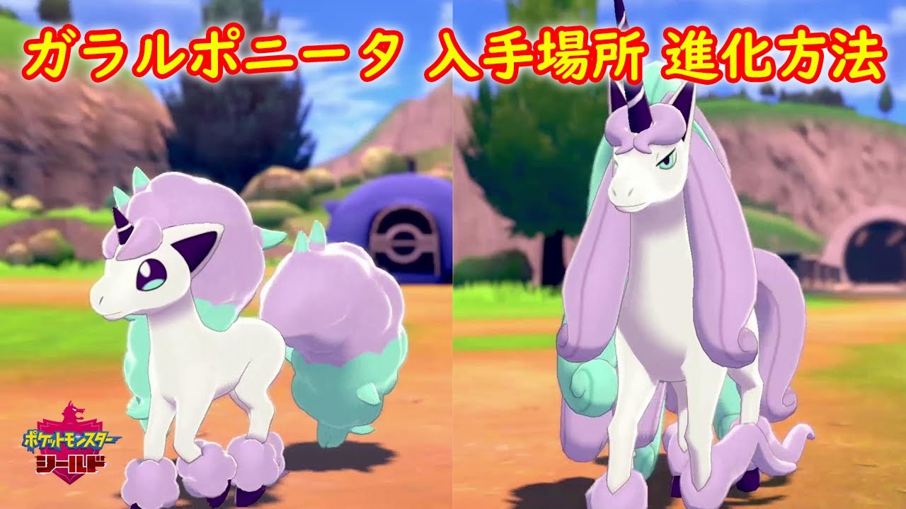 【ガラルポニータ → ギャロップ】入手場所 進化方法 攻略【ポケモン ソード シールド ポケモン剣盾】