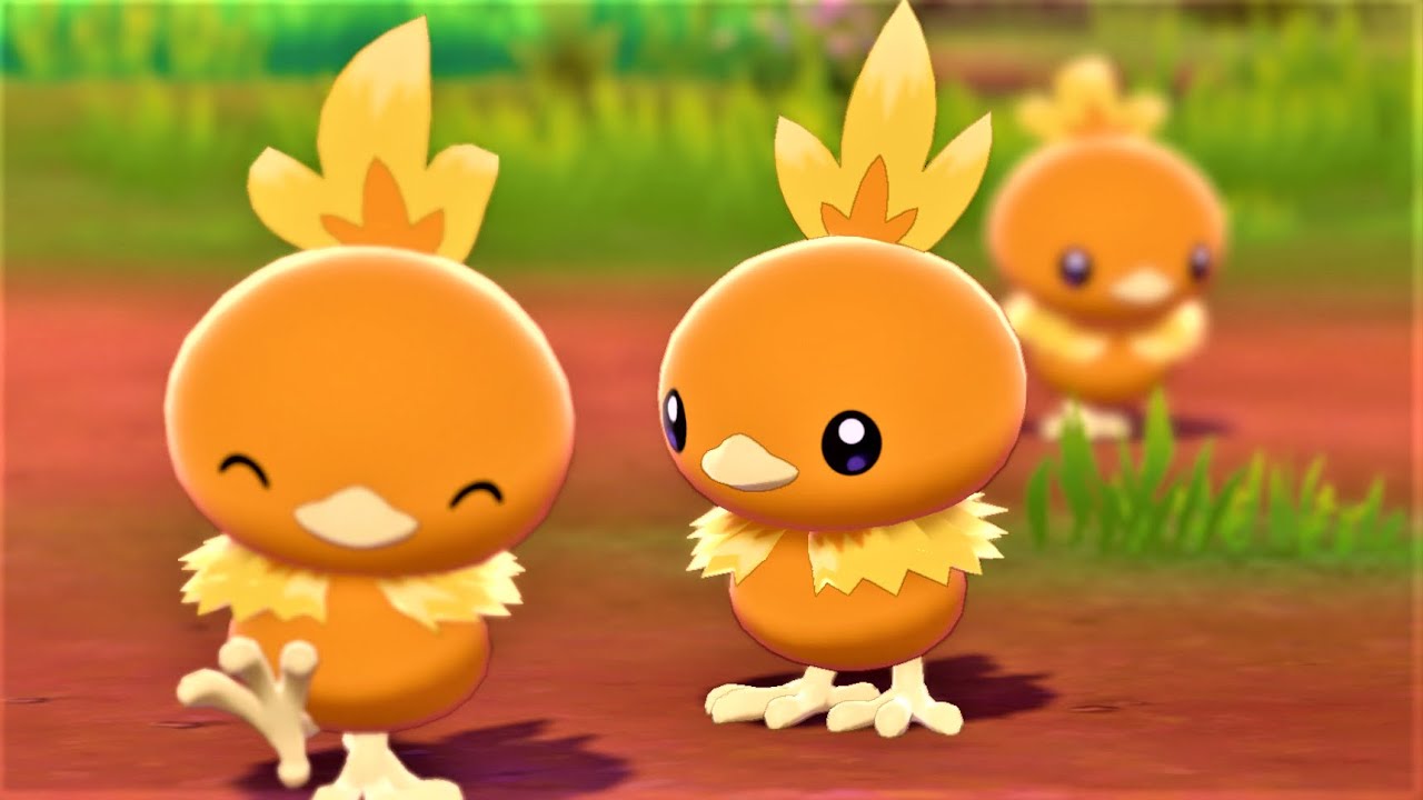 【ポケモン剣盾】アチャモづくめ！でポケモンキャンプ