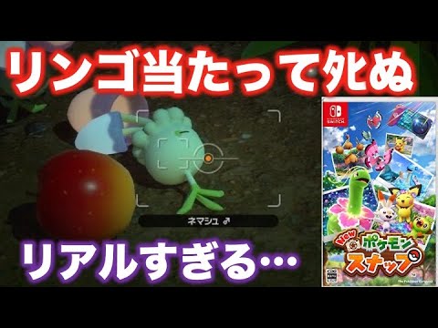 【リアルすぎる衝撃映像】リンゴに当たって命が尽きるネマシュ。Newポケモンスナップ。