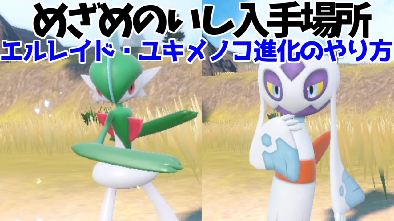 【ポケモンSV】めざめのいし エルレイド ユキワラシ ユキメノコ  入手方法 進化方法 攻略【ポケモン スカーレット・バイオレット】