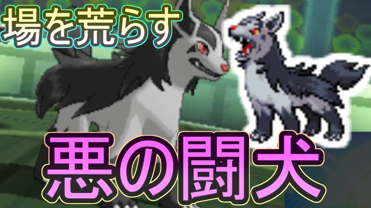 【ポケモンＵＳＭ】『悪の闘犬』グラエナがフィールドを荒らしまくり！その驚異の技構成とは