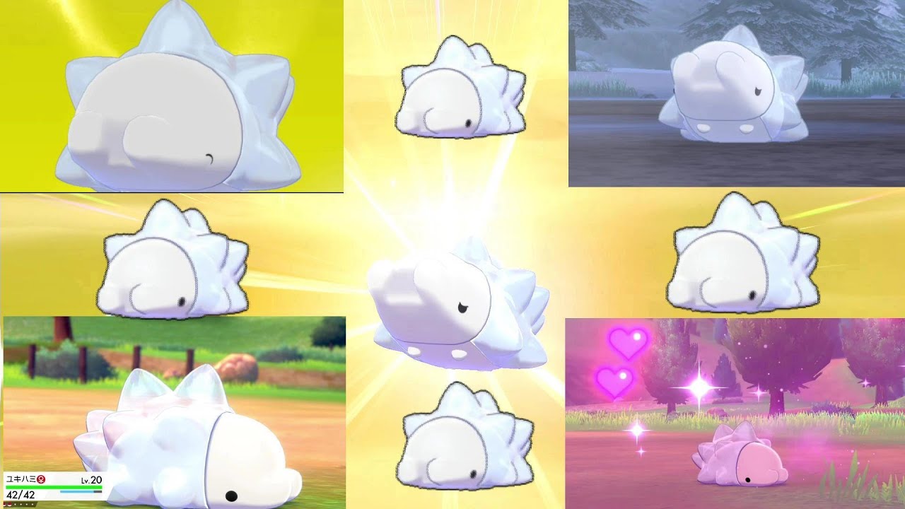【ぐうポケ】ユキハミのかわいさをギュッと詰め込みました！！【ポケモン剣盾】