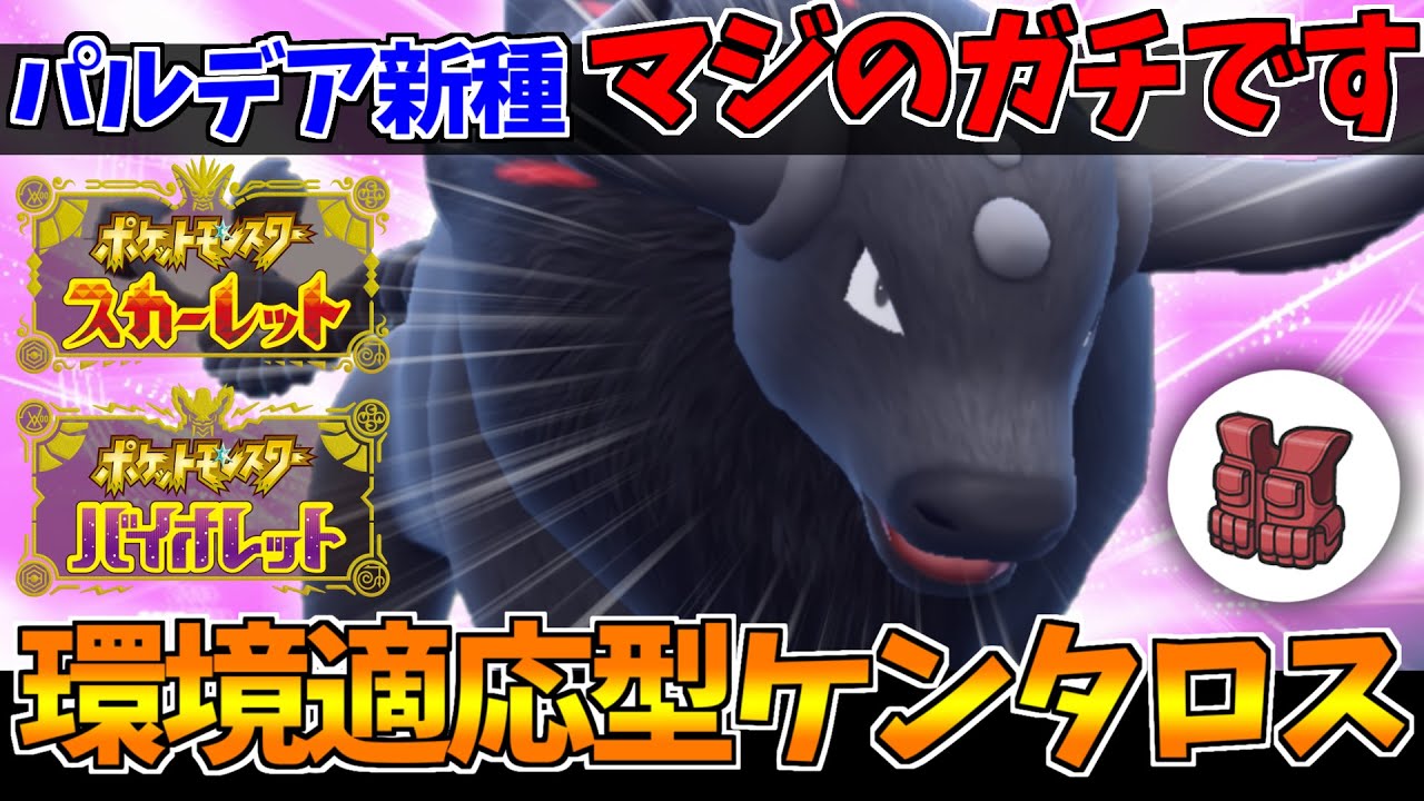 【ポケモンSV】炎妖ケンタロスが流行りの並びにメチャメチャ強いのでオススメ！威嚇×チョッキでサイクルも出来るぞ！【スカーレット/バイオレット/スカバイ/対戦】