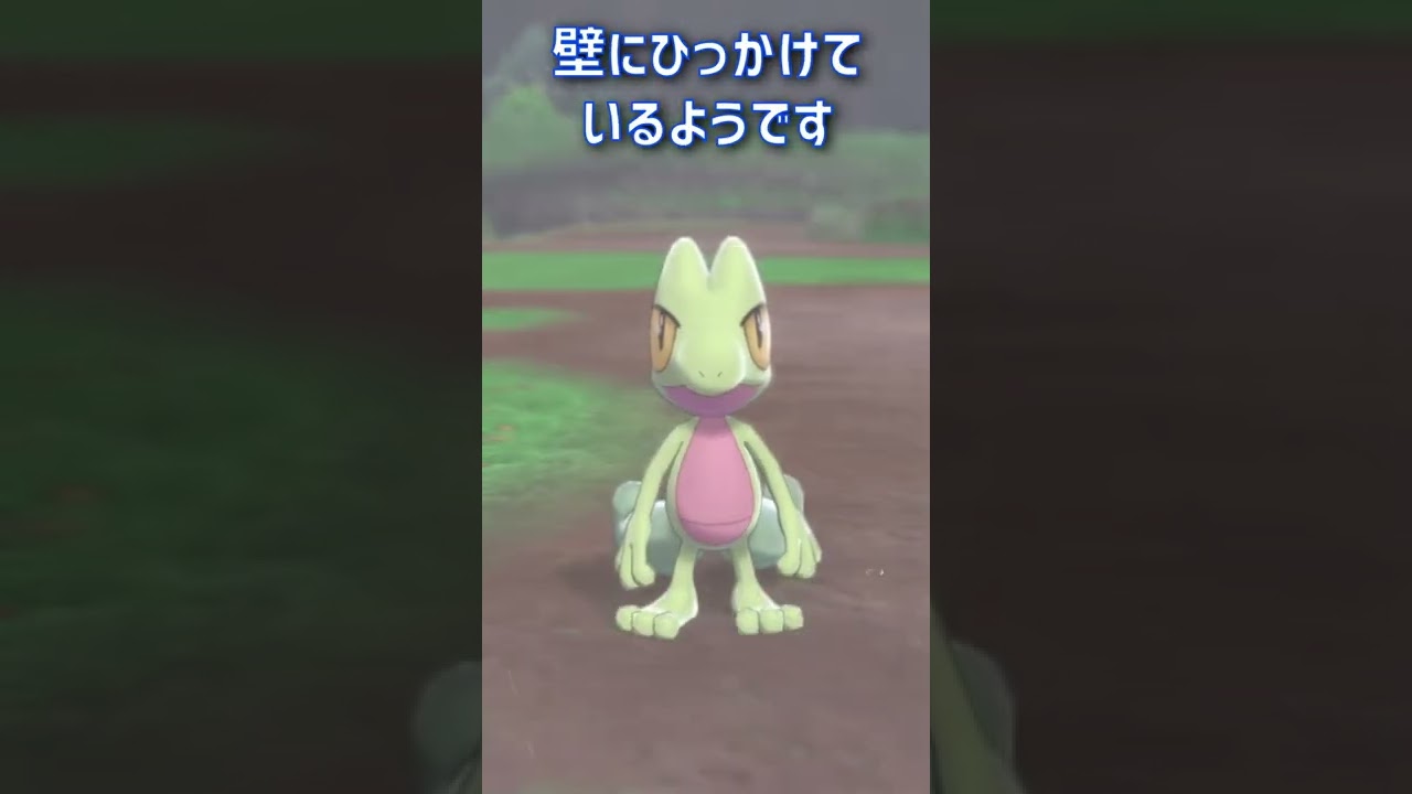 1分でわかるキモリの生態｜ポケモン剣盾、ポケモンgo #Shorts