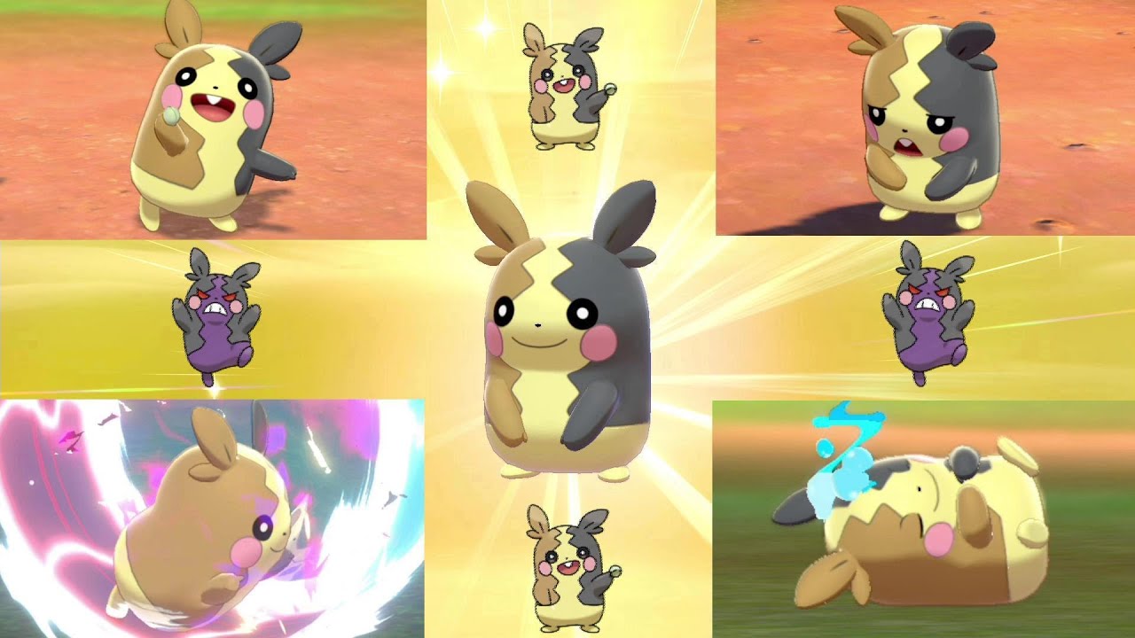 【ぐうポケ】モルペコのかわいさをギュッと詰め込みました！！【ポケモン剣盾】