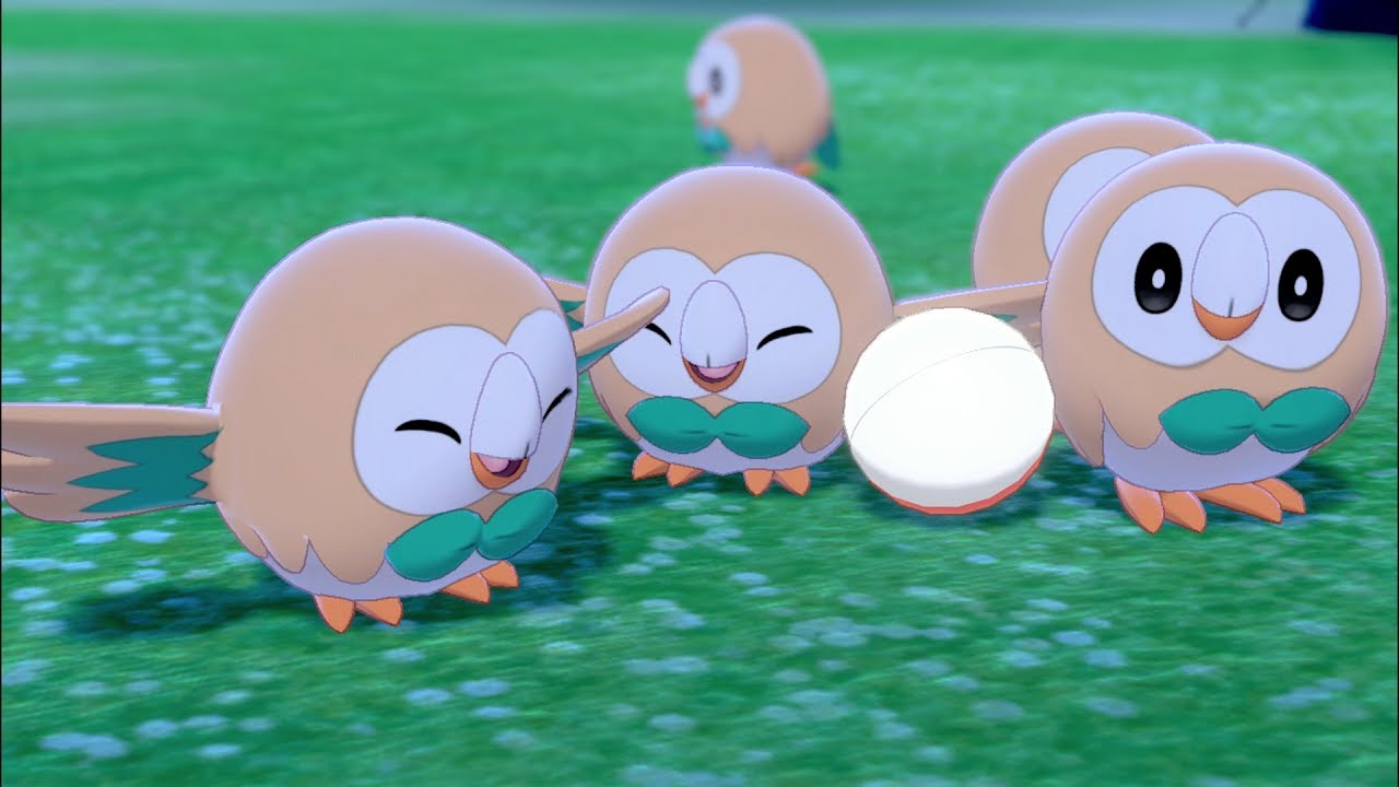 ポケモン剣盾｜モクローに囲まれたポケモンキャンプ！！