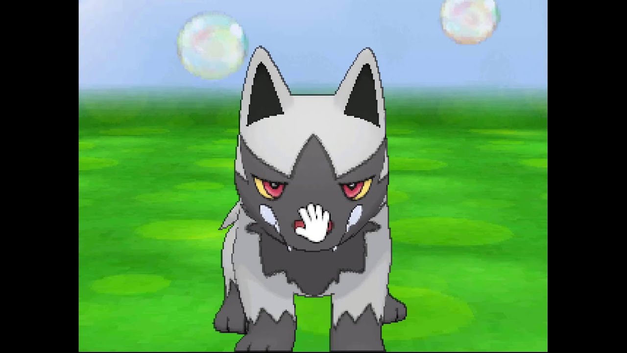 ポケパルレ　ポチエナと戯れるだけの動画