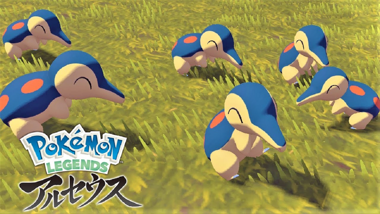 ヒノアラシ６匹に癒されたい【ポケモンレジェンズアルセウス】