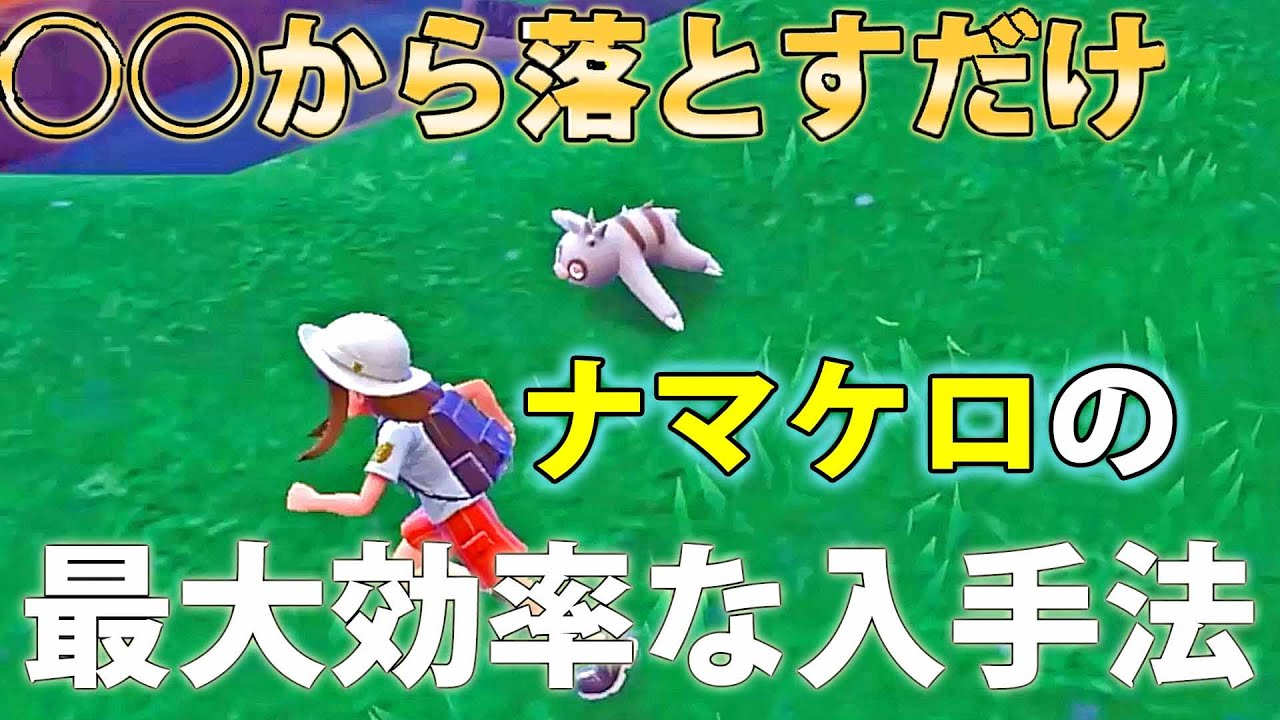 【歩くだけはNG】ナマケロを最大効率で入手する方法を解説【ポケモンSV】
