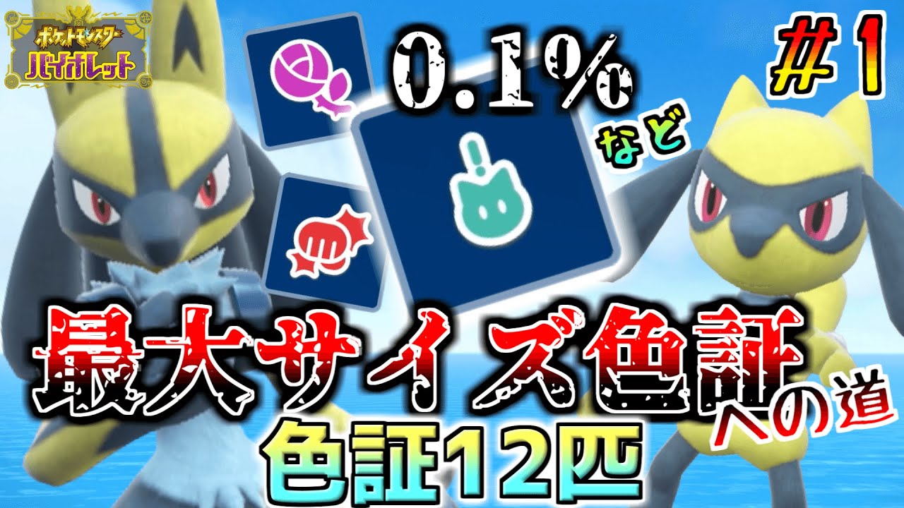 最大サイズ色証への道! #1（リオル・ルカリオ編）確率0.1%の「みたことのない証」が出た‼︎色証12匹ゲットだぜ!  【ポケモンSV】