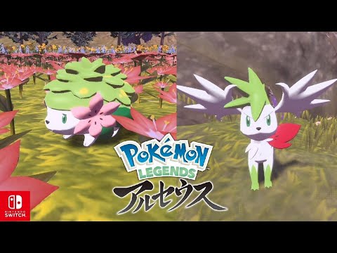 【ポケモンレジェンズアルセウス】シェイミ入手・フォルムチェンジ ありがとうを伝えたい サブ任務92【Pokemon LEGENDS アルセウス/Switch】