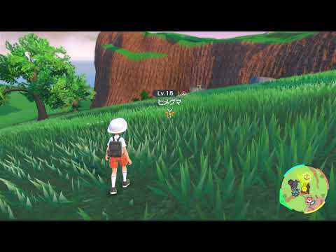 【ポケモンSV】ヒメグマの出現場所・行き方【スカーレットバイオレット】