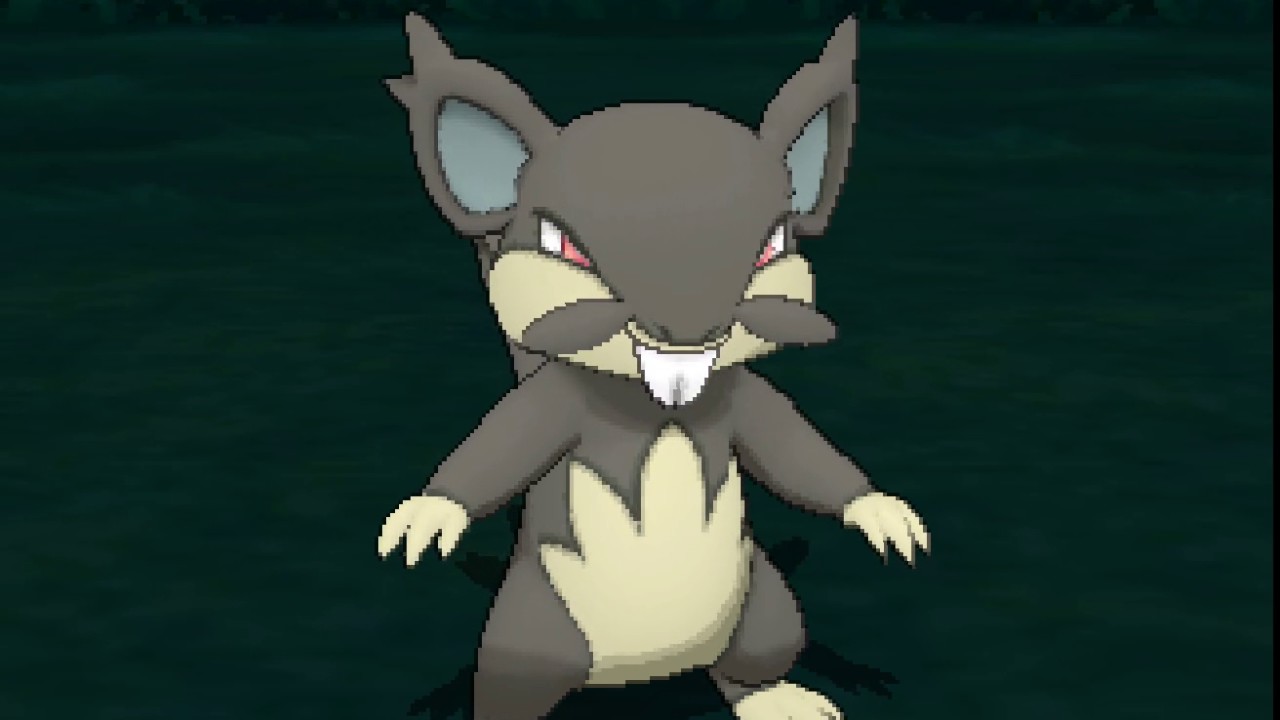 ポケリフレ　コラッタ(アローラのすがた)と戯れるだけの動画