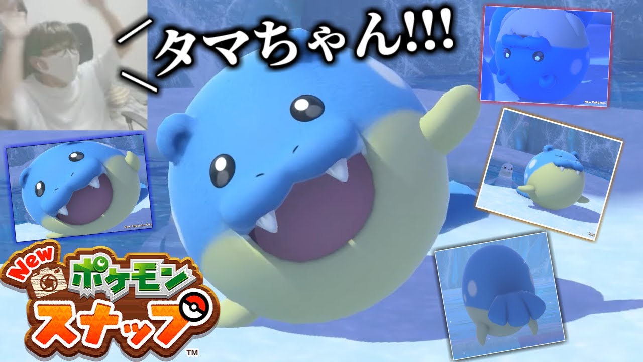 ついにポケスナタマザラシと出逢ってしまったﾀﾏｻﾞﾗｼﾆｷの最高な反応【Newポケモンスナップ】