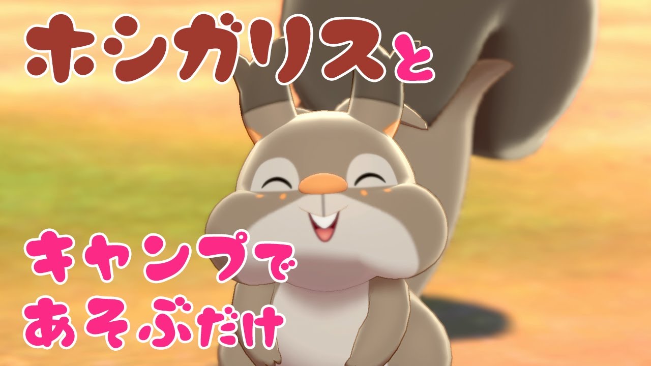 ホシガリスとキャンプで遊ぶ