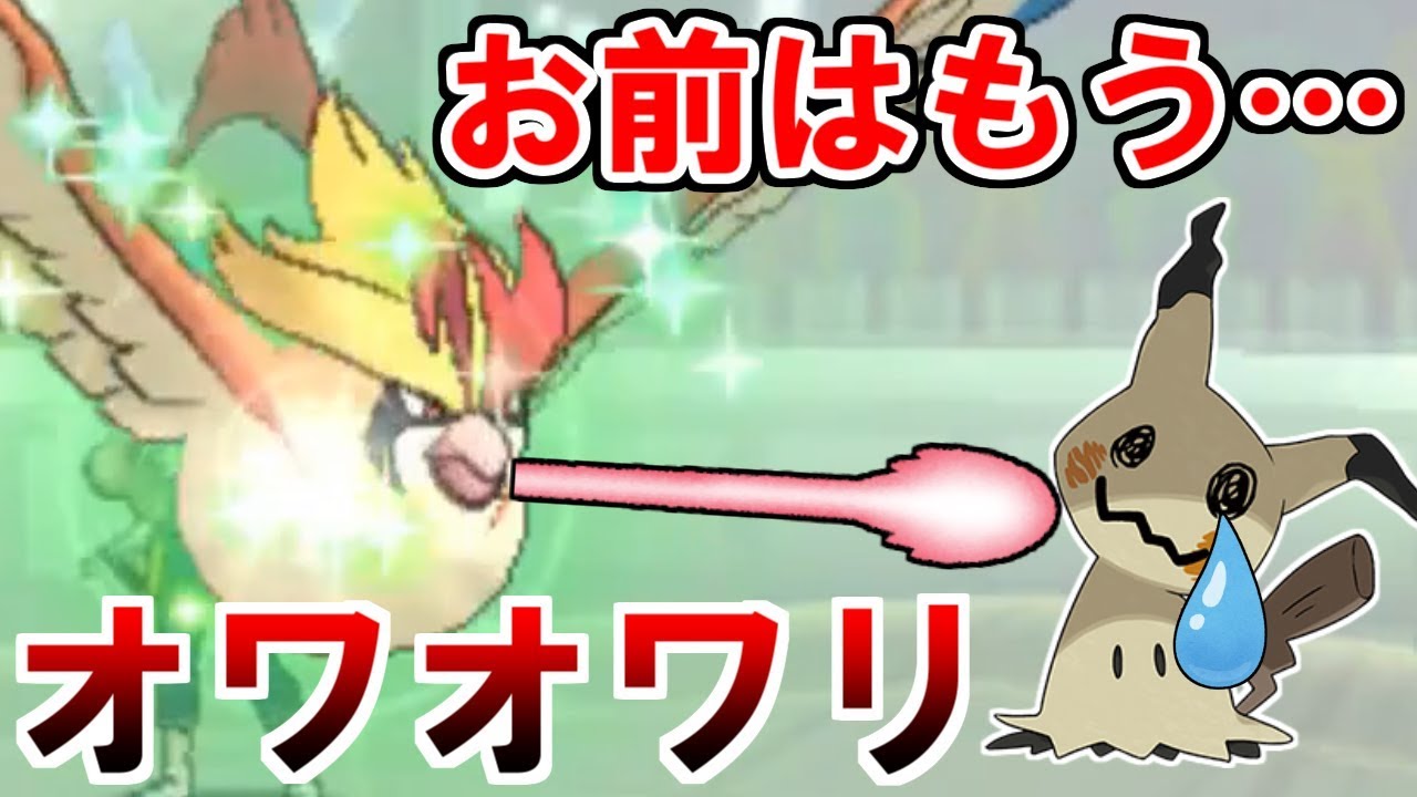 【ポケモンUSUM】ピジョットにボコられるミミッキュ「また噛ませ役なの！？」【ウルトラサン・ウルトラムーン】