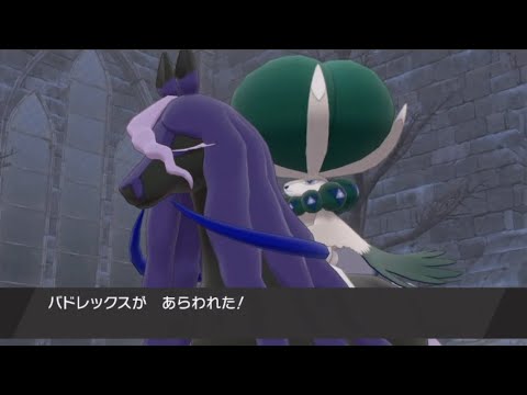 【ポケモン剣盾/冠の雪原】バドレックス捕獲イベント