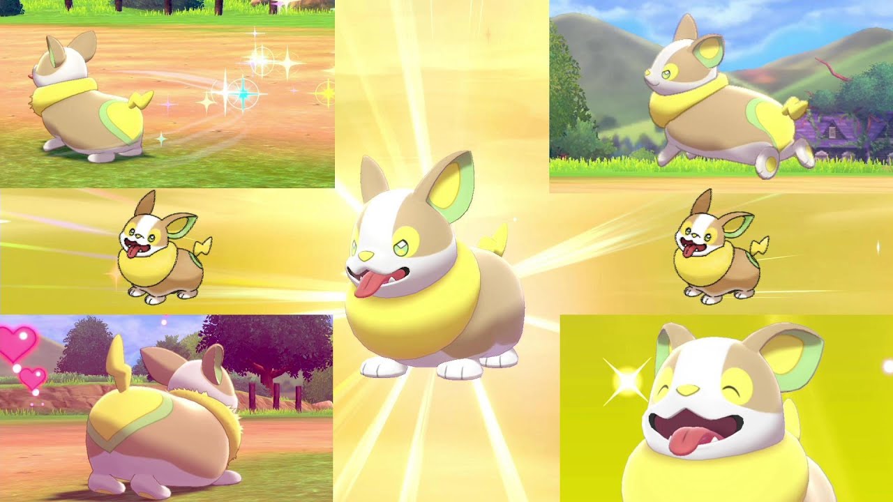 【ぐうポケ】イヌヌワンのかわいさをギュッと詰め込みました！！【ワンパチ】【ポケモン剣盾】