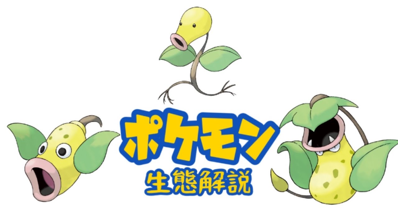 【ポケモン解説】「マダツボミ」「ウツドン」「ウツボット」の生態・小ネタ・鳴き声について！