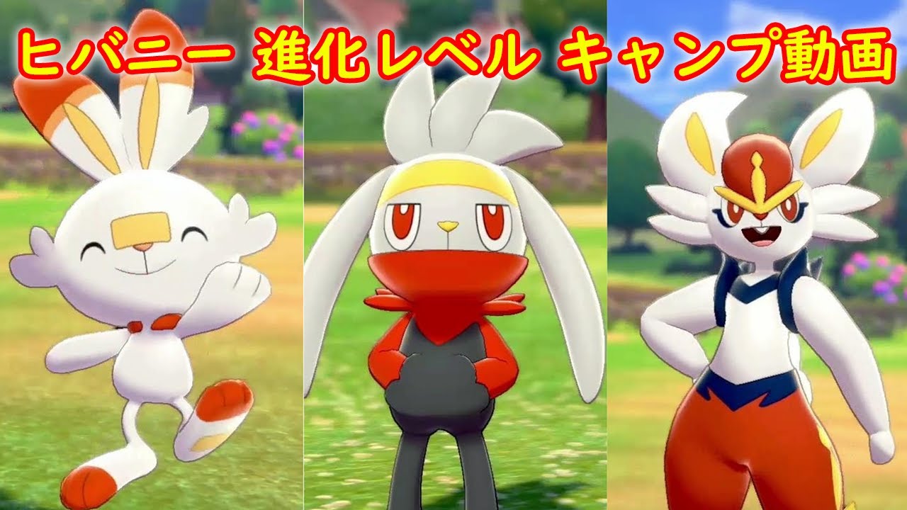 【ヒバニー → ラビフット → エースバーン】進化レベル 攻略 + キャンプで遊ぶ【ポケモン ソード シールド ポケモン剣盾】