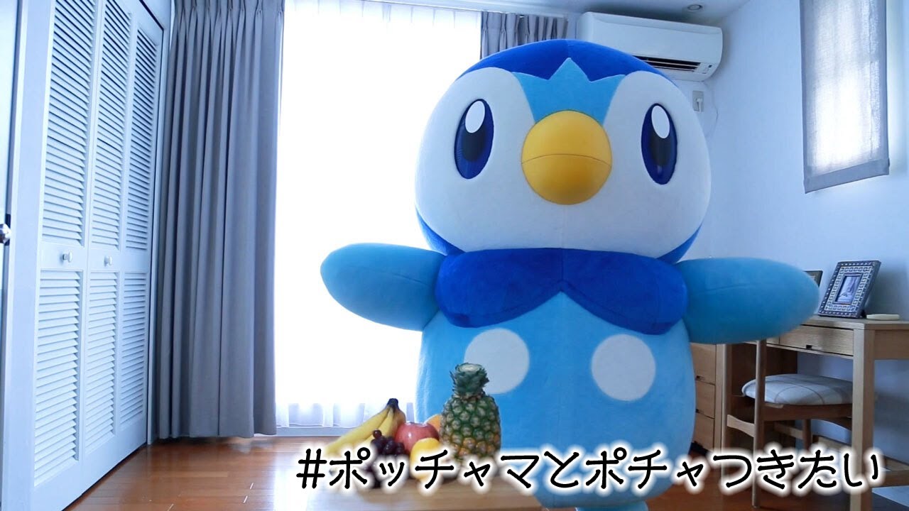 【公式】ポッチャマとポチャつきたい（総集編）