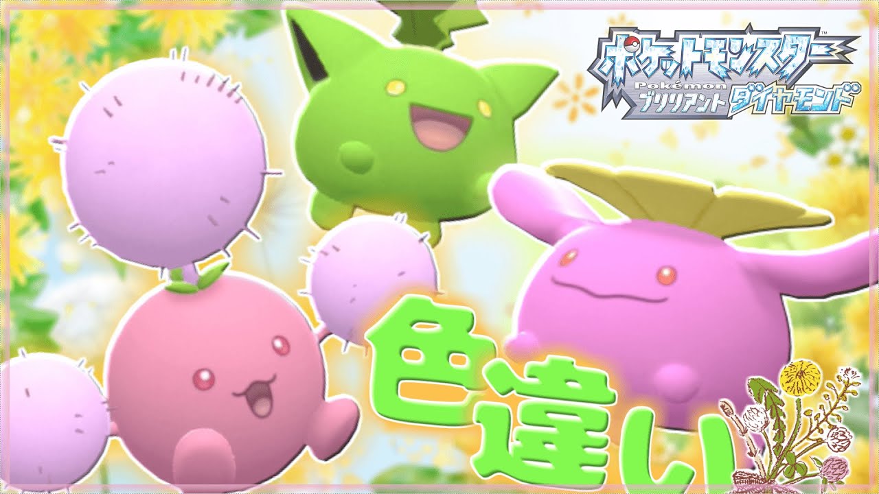 【ポケモンBDSP】饅頭だってふわふわしたい　色違いハネッコ族が欲しい!!【ゆっくり実況】