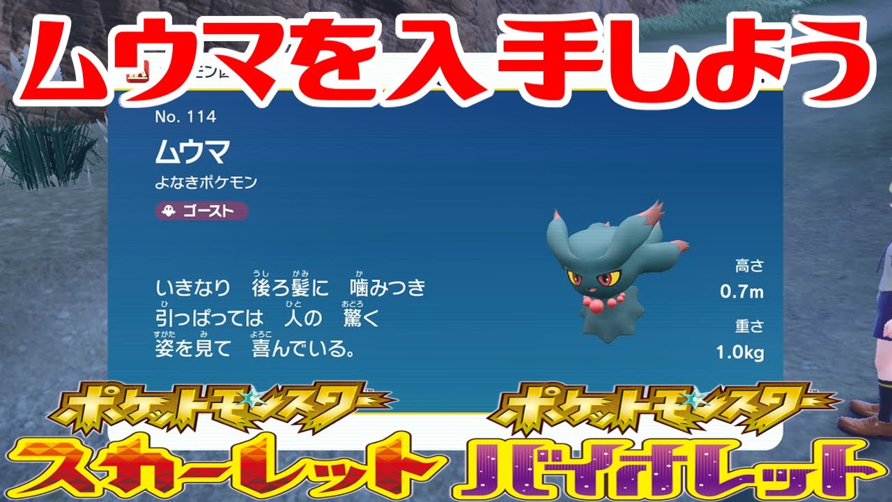 【ポケモンSV】ムウマを入手しよう【ポケットモンスター スカーレット・バイオレット】Pocket Monsters
