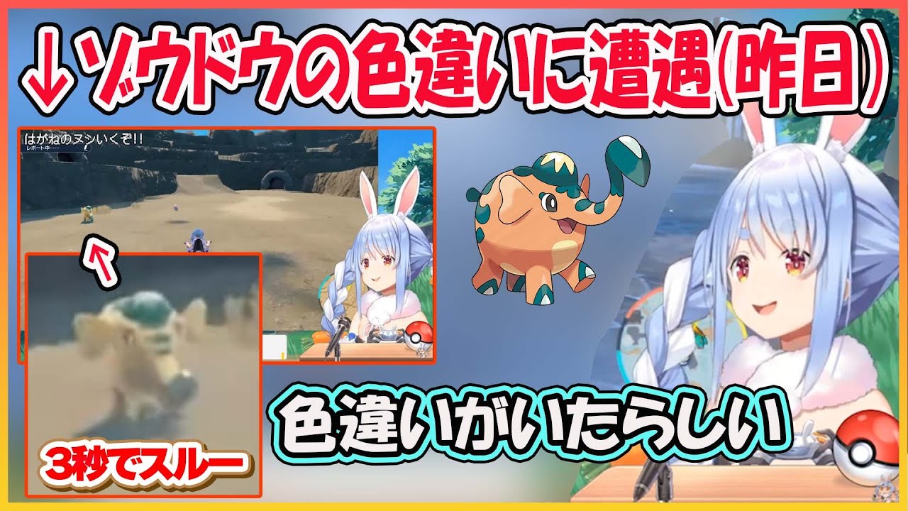 【ホロライブ切り抜き】ゾウドウの色違いに遭遇するも3秒で通りすぎていたぺこら【兎田ぺこら/hololive】