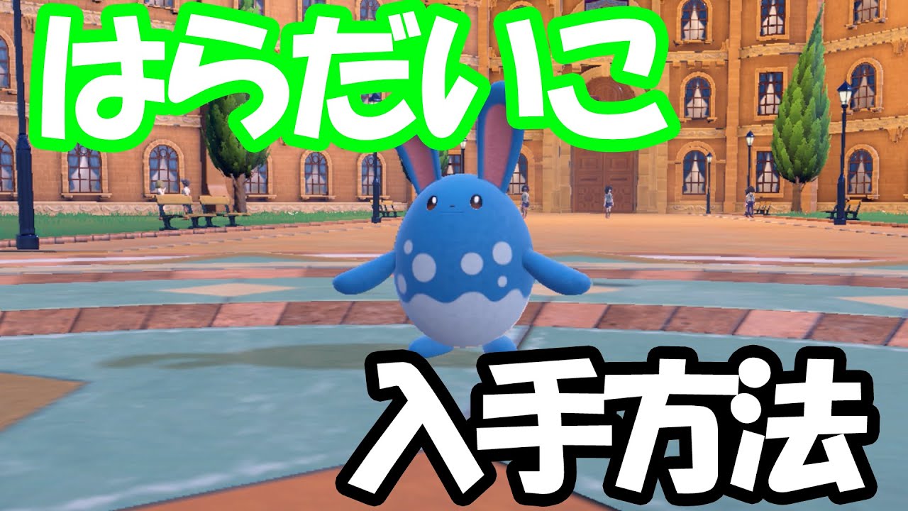 【ポケモンSV】今作も強い！?はらだいこマリルリの入手方法！【遺伝経路】