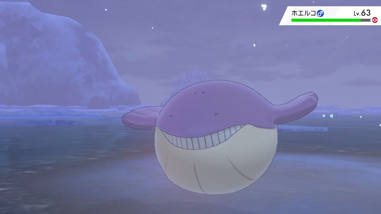 何も考えずに色違いホエルコにみねうちをぶちこんだ男の末路【ポケモン剣盾】