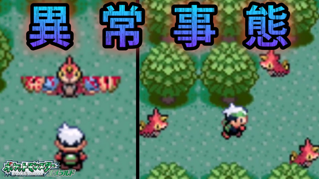 ケムッソ大量発生【ポケモンエメラルド】