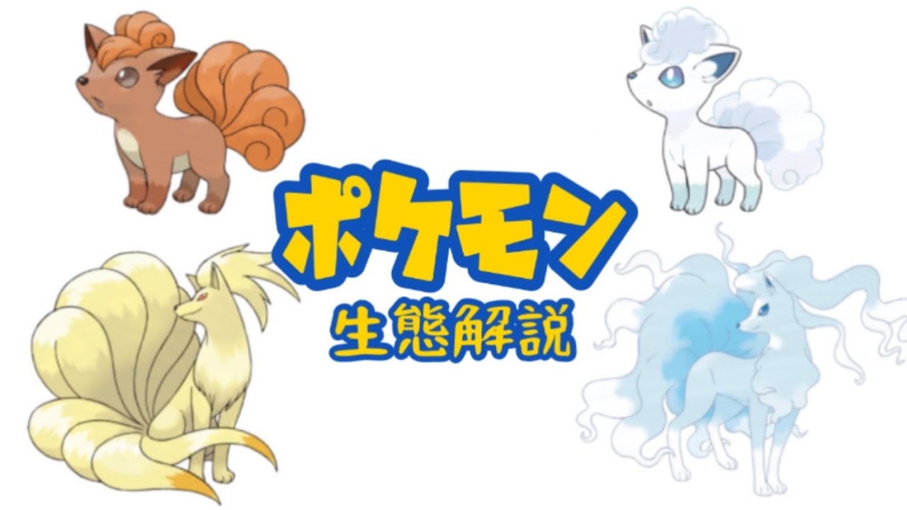 【ポケモン解説】「ロコン」「キュウコン」の生態・小ネタ・鳴き声について！