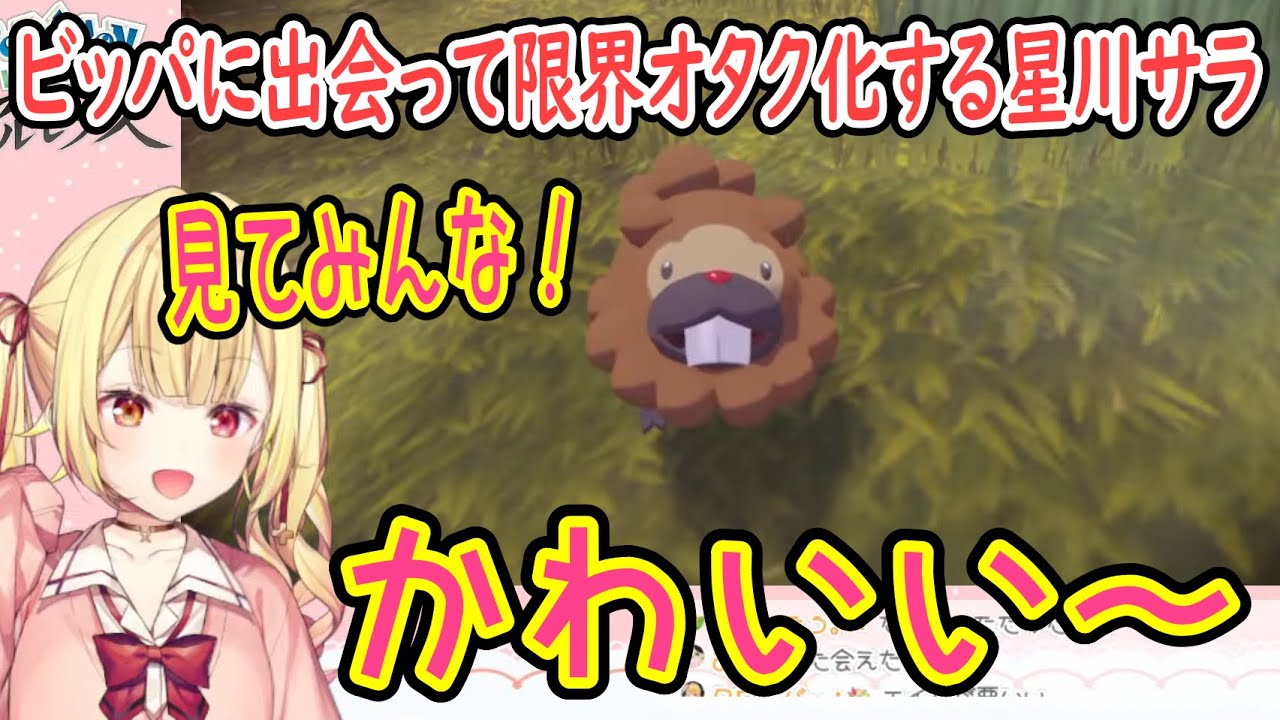 【音量注意】ビッパに出会って限界オタク化する星川サラ【星川サラ/にじさんじ切り抜き】