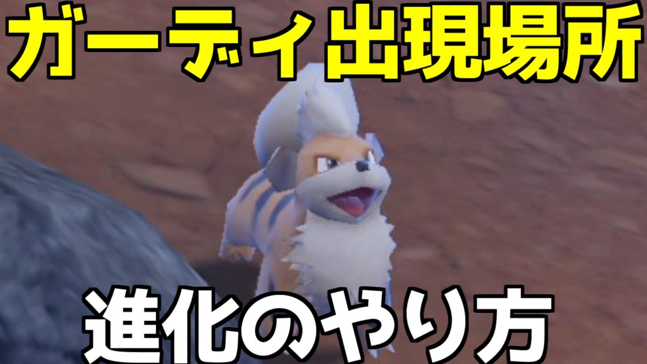 【ポケモンSV】ガーディ ウインディ 出現場所 入手方法 進化方法 攻略【ポケモン スカーレット・バイオレット】