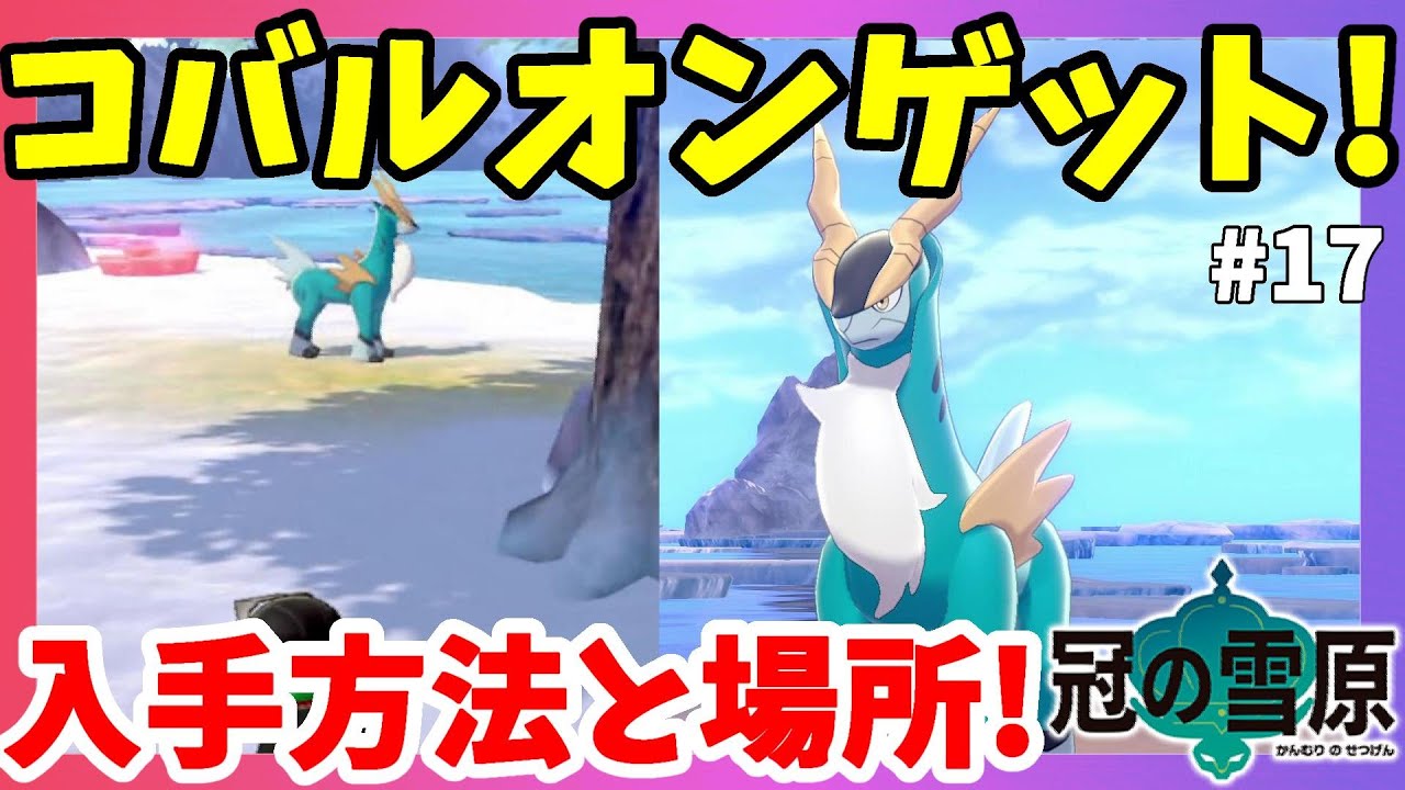 【ポケモンソードシールド】コバルオンゲット！ソニアの調査！伝説のポケモンの手掛かりの場所#17冠の雪原【エキスパンションパス】