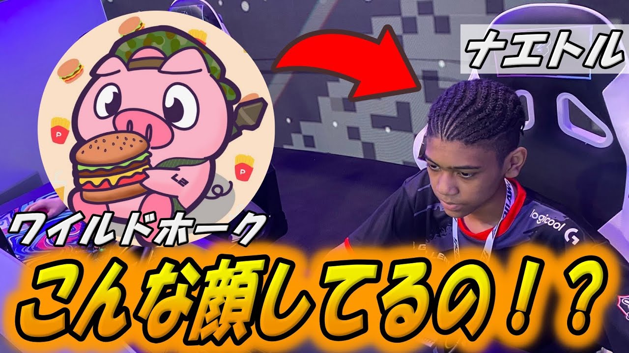 ワイルドホークがナエトルの顔出しについて語る！【配信切り抜き】【フォートナイト/Fortnite】