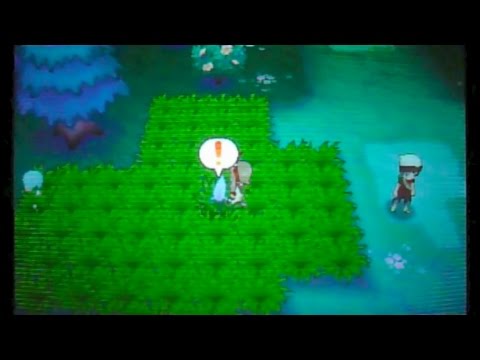 ポケモンORAS-11「珍しい技を覚えたポチエナ＆その捕まえ方（101番道路 ユウキ版もあり）」