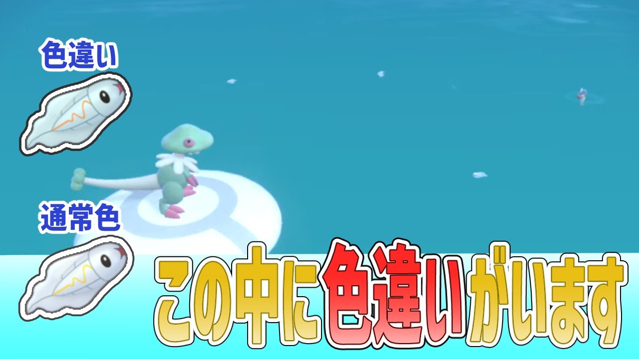 【色違い】シビシラスの違いが分かる男【ポケモンSV】