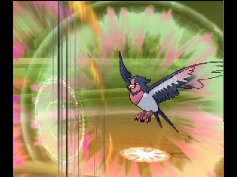 【ポケモンＳＭ】レート最終日に遭遇した"オオスバメ”とかいうポケモン