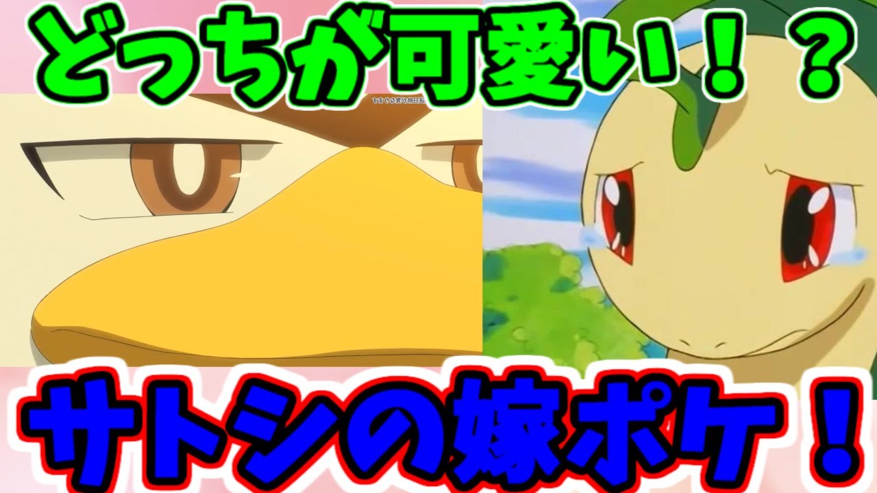 サトシに恋をしているポケモンベイリーフとネギガナイトを比べてみた【ポケモンアニメゆっくり考察】