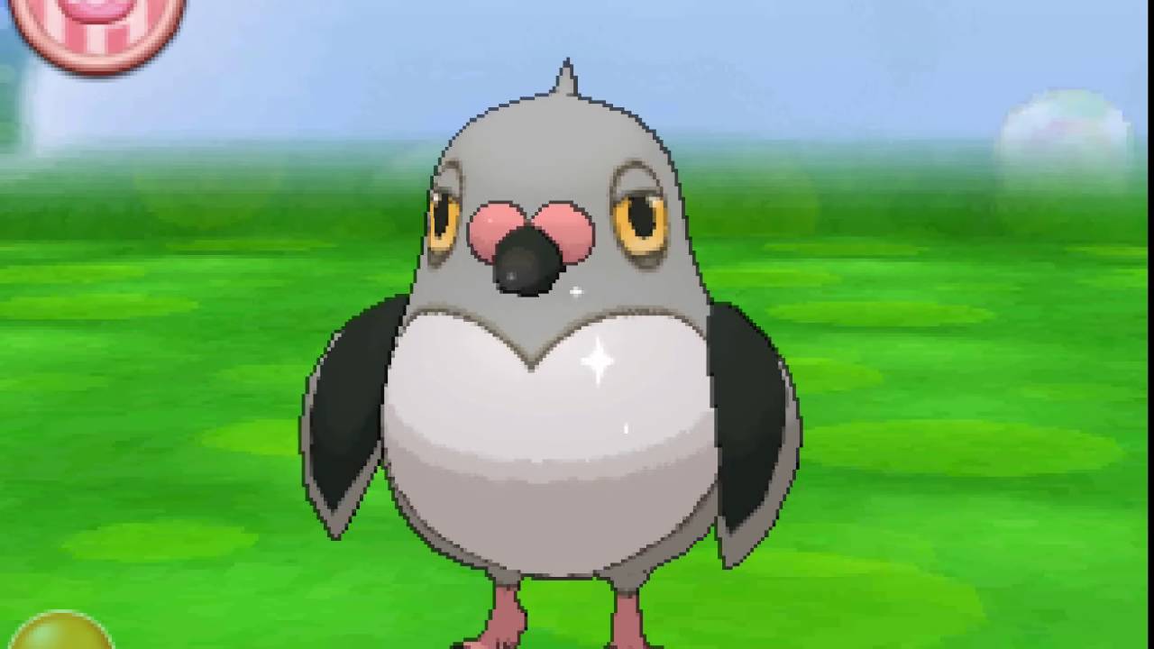 ポケパルレ　マメパトと戯れるだけの動画
